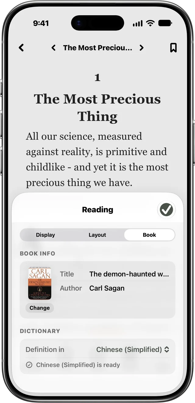 Casu's reading settings: Definition in Chinese (Simplified)